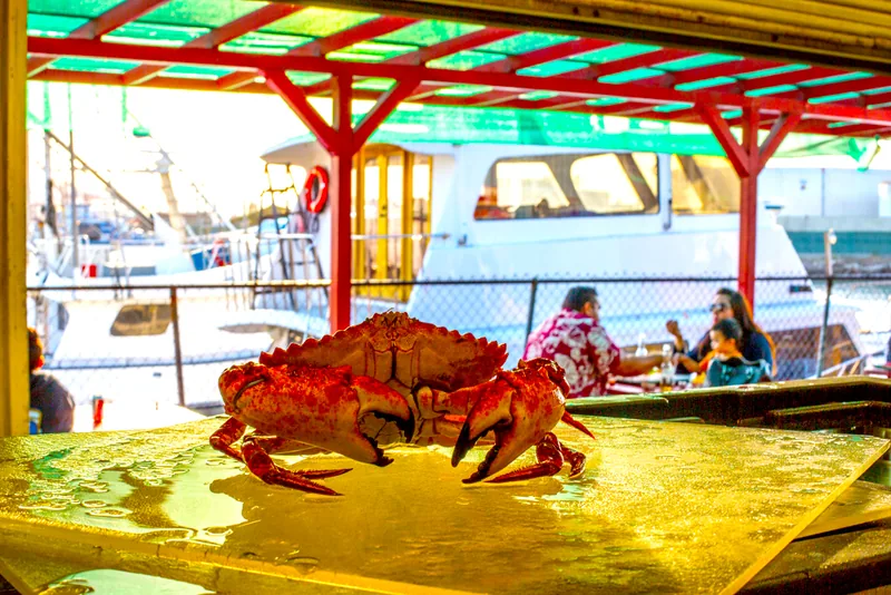 Live crab at the Berth 55 waterfront market